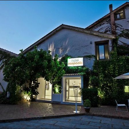 Hotel San Paolo Palinuro Exteriör bild